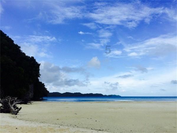 宝贝七巧板