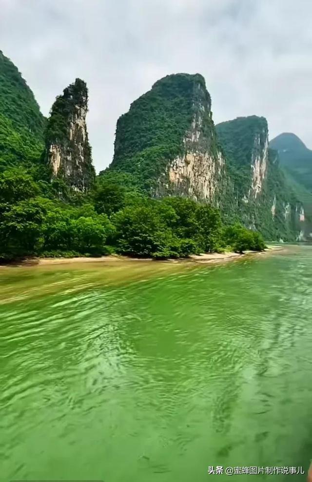 飞扬的独眼鸟